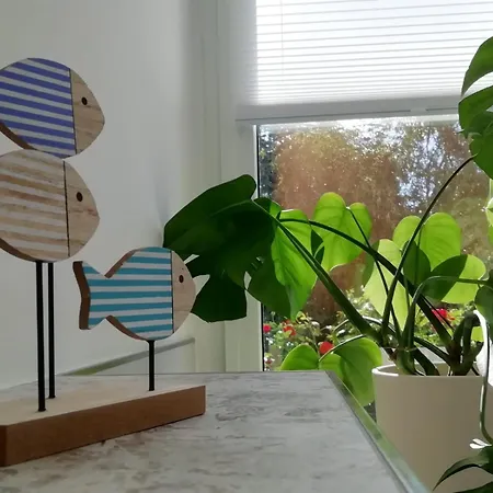 Apartment Altstadt Johannis *